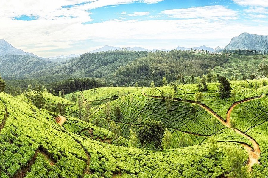 Elegant Sri Lanka Turu Air Arabia Havayolları ile 5 Gece (CMN-CMN) FL001