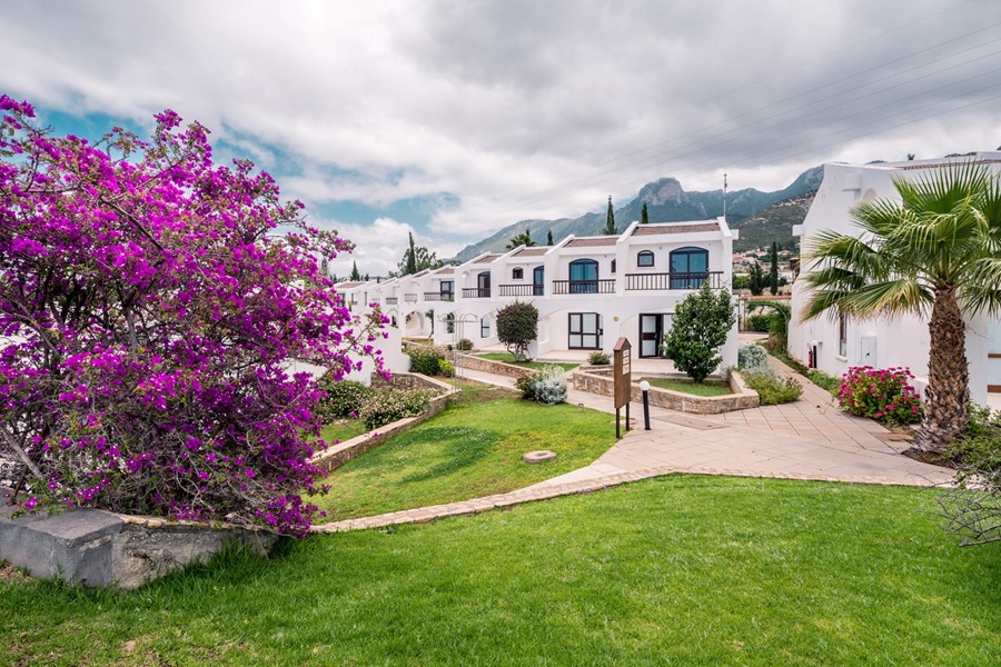 The Olive Tree Hotel