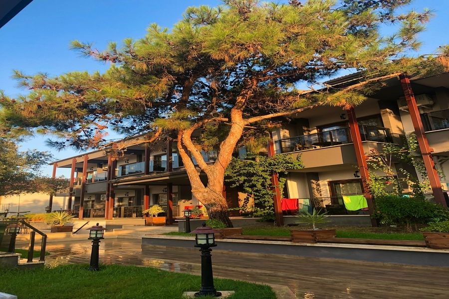 The Sarıgerme Inn