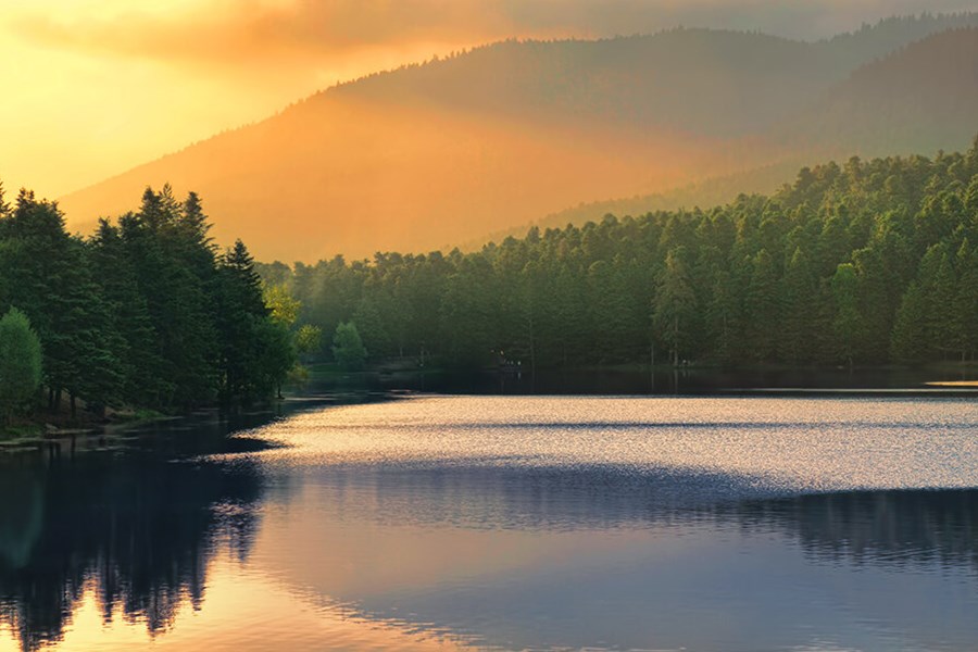 Maşukiye Sapanca ve Kartepe Turu İstanbul Çıkışlı Günübirlik