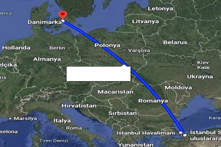 MSC Euribia İle Norveç Fiyortları 7 Gece PGS - 24 Mayıs 2026 FL001