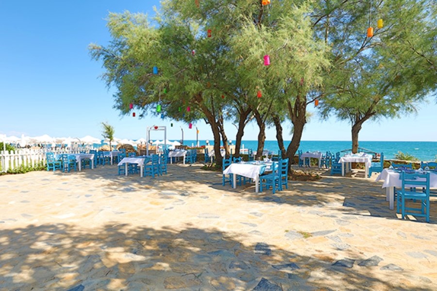 Balık A