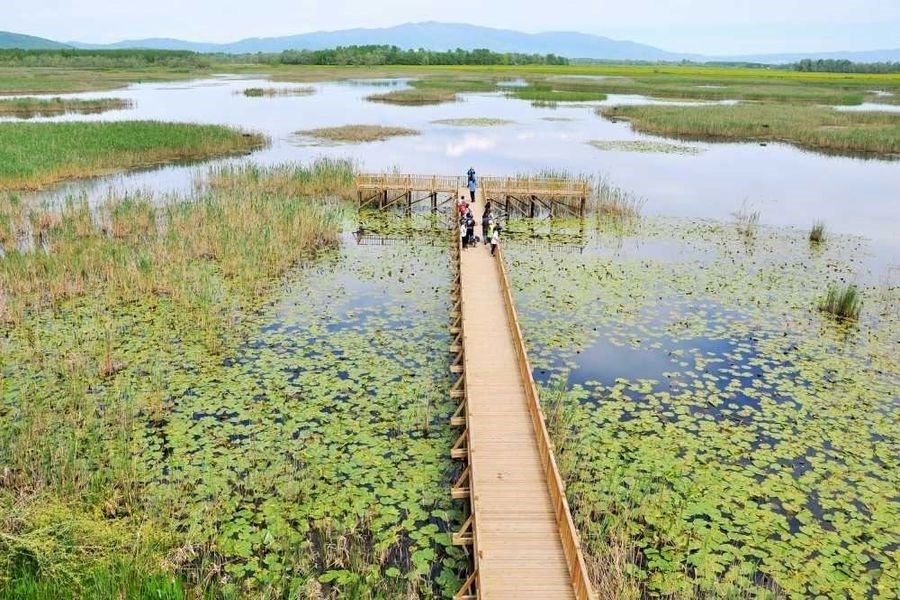 Maşukiye Yedigöller Abant Turu İstanbul Hareketli