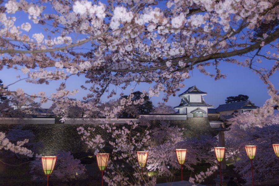 Japonya Turu Miat Havayolları ile 10 Gün - 2026 EJ001