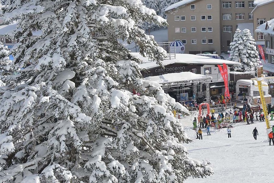 Le Chalet Yazıcı