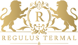 Afyon Regulus Thermal Apart Hotel & Villas
