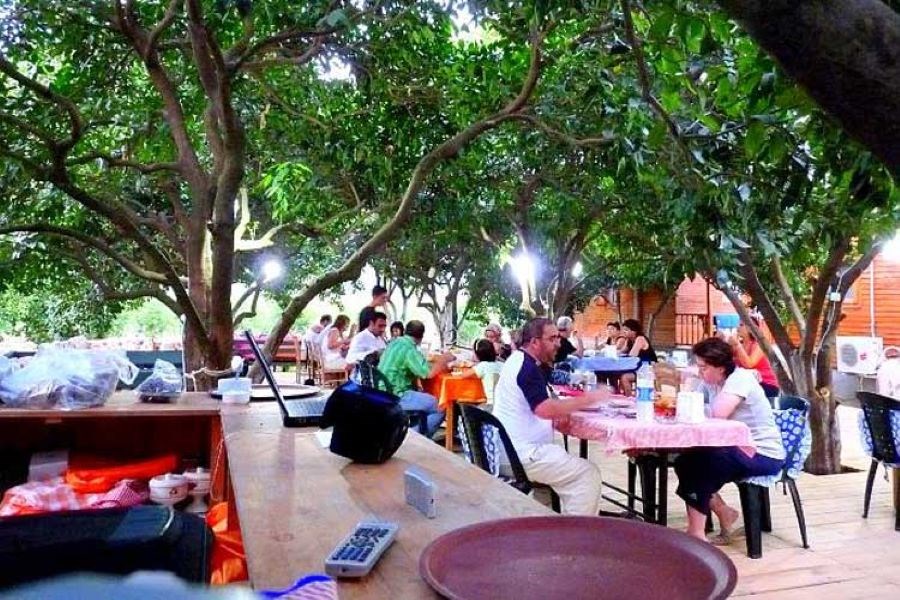 ANA RESTAURANT