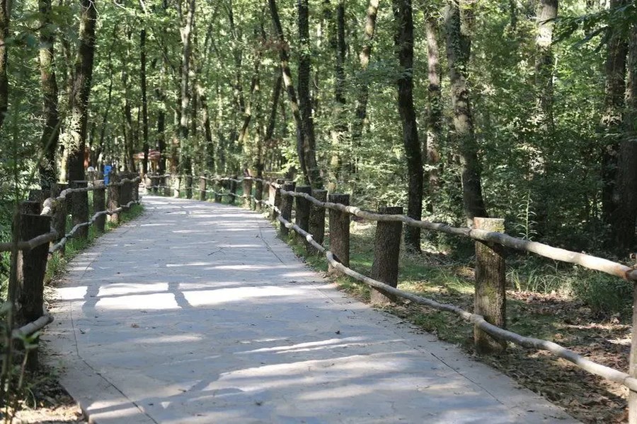 İzmitten Kartepe ye Unutulmaz Bir Kocaeli Gezisi