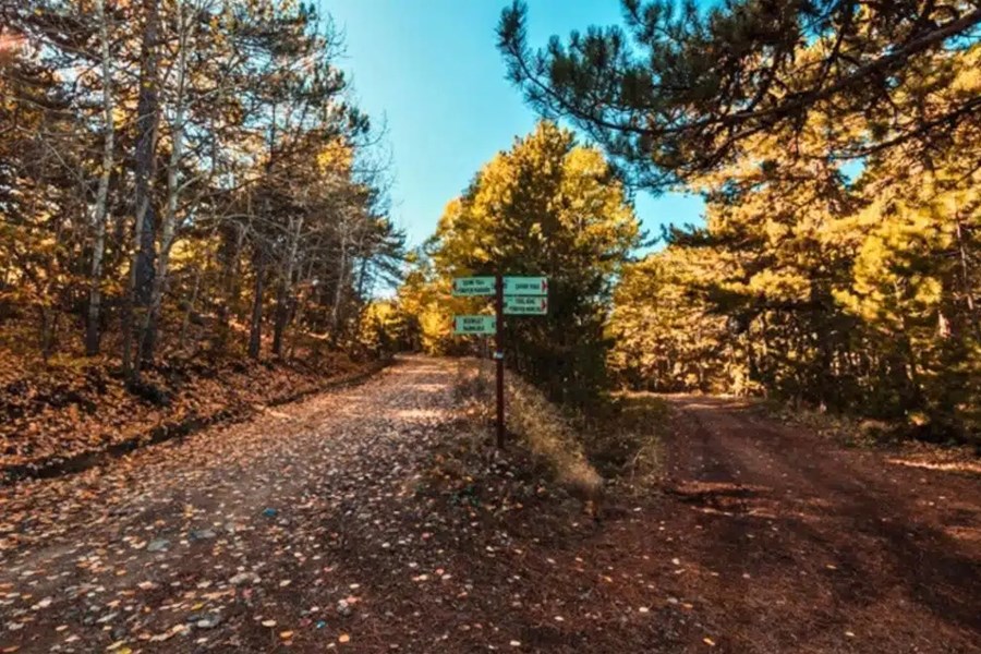 Ankaraya Yakın Gezilecek Yerler Listesi